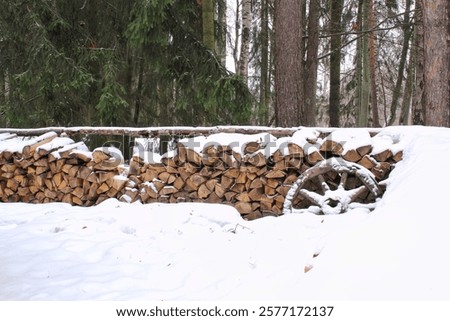 Similar – Image, Stock Photo frozen wooden brown fence outdoors