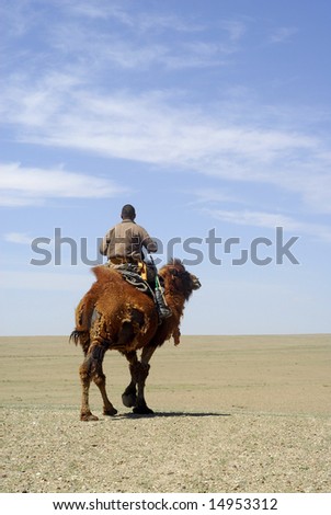 A nomadic herder riding his camel