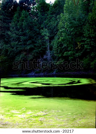 Alge Pond