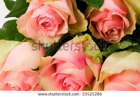 Bouquet of beautiful roses with water drops on leaves