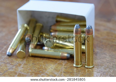 .22 magnum jacketed hollow point