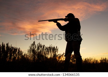 Bird Hunter Silhouetted at Sunrise