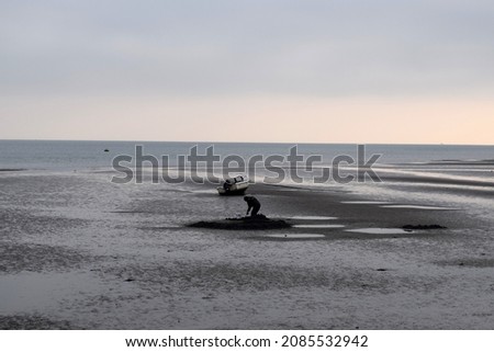 Similar – Image, Stock Photo Man stands with Frisian mink on the coast in the dunes