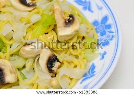 Asian style vegetarian noodles cooked with vegetables and mushrooms. Suitable for concepts such as diet and nutrition, healthy lifestyle, and food and beverage.