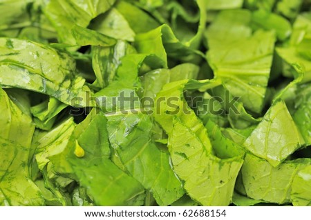 Closeup shot of freshly cut vegetables as food ingredients. Green, leafy vegetables are commonly found in many Chinese cuisine.