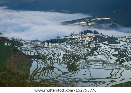 beautiful terraced rice field in the morning in Yunnan,China