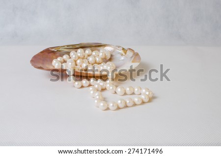 Beautiful necklace of white pearls in pearl shell on white background