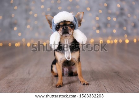 Shutterstock Puzzlepix