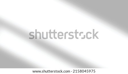 Realistic blurred natural light leaves, palm and window shadow overlay on wall paper or frames texture, abstract background, summer, spring, autumn for product presentation podium and mockup seasonal