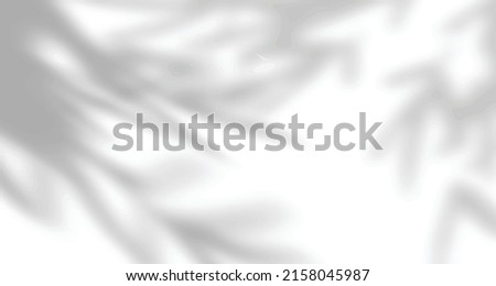 Realistic blurred natural light leaves, palm and window shadow overlay on wall paper or frames texture, abstract background, summer, spring, autumn for product presentation podium and mockup seasonal