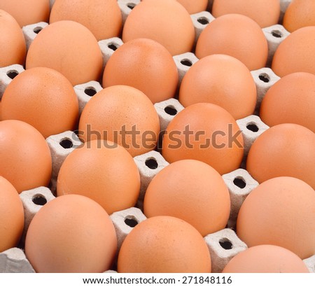 Group of fresh eggs in a  paper tray