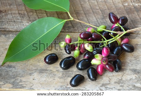 Jambolan plum, Java plum on wooden background