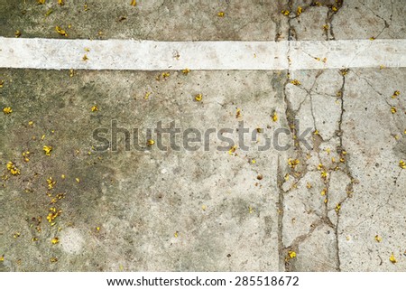 Dirty cracked concrete texture with tiny yellow flower drop and white stripe on top