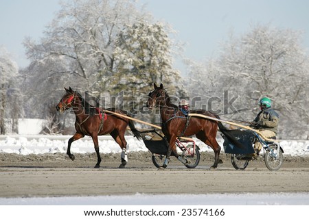 SARATOGA SPRINGS - December 13: Trotters and Pacers Work out in the Morning at the Saratoga Gaming and raceway in Preparation for the evenings races on December 13, 2008 in Saratoga Springs, NY