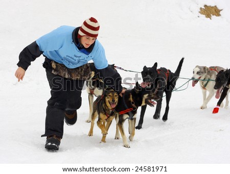 LAKE GEORGE, NY - February 7, 2009: A dog sled handler grabs her sled dogs in order to stop and pick up new passengers for rides on the ice during the February 7 , 2009 Lake George Winter Carnival.