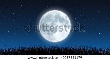 Full Moon Rising. Starry Night