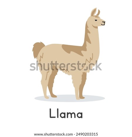 Llama vector illustration. Cute llama cartoon clipart, animal in flat style. Farm animals concept, rural farming. Livestock animal llama vector design isolated on white background