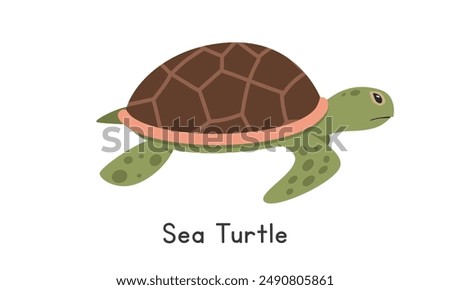 Sea turtle vector illustration. Cute sea turtle cartoon clipart, animal in flat style. Sea animals, underwater creatures, ocean animals, marine life concept. Sea turtle vector design isolated on white