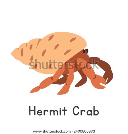 Hermit crab vector illustration. Cute shell-dwelling hermit crab cartoon clipart, animal in flat style. Sea animals, underwater creatures, ocean animals, marine life concept. Hermit crab vector