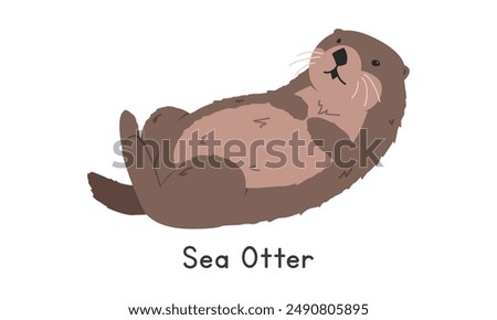 Sea otter vector illustration, cartoon clipart, animal in flat style. Sea animals, underwater creatures, ocean animals, marine life concept. Sea otter vector design isolated on white