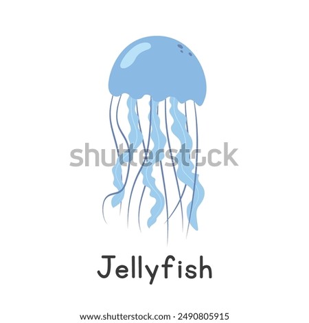 Jellyfish vector illustration. Beautiful blue compass jellyfish cartoon clipart, animal in flat style. Sea animals, underwater creatures, ocean animals, marine life concept. Jellyfish vector design