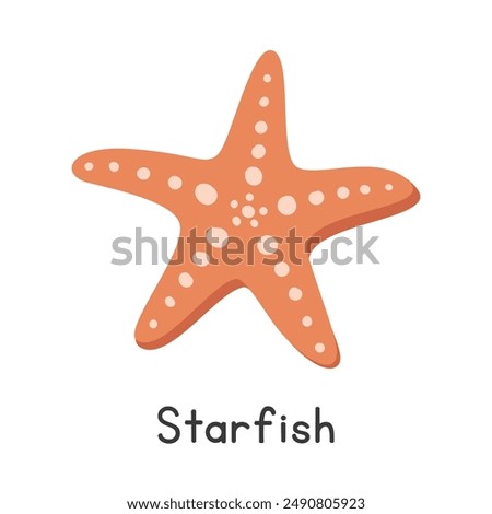 Starfish vector illustration. Cute common starfish cartoon clipart, animal in flat style. Sea animals, underwater creatures, ocean animals, marine life concept. Orange starfish vector design isolated