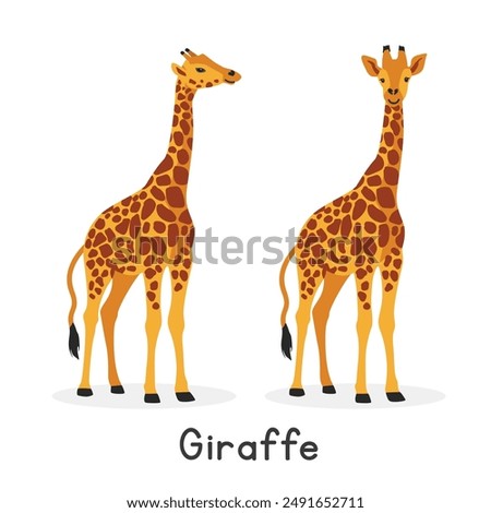 Giraffe vector illustration, cartoon clipart character, animal in flat style. Wild animals, wild creatures, wildlife concept. Giraffe vector design isolated on white background