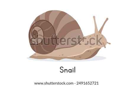 Snail vector illustration, cartoon clipart character, animal in flat style. Wild animals, wild creatures, wildlife concept. Snail vector design isolated on white background