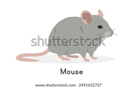 House mouse vector illustration, cartoon clipart character, animal in flat style. Wild animals, wild creatures, wildlife concept. Mouse vector design isolated on white background