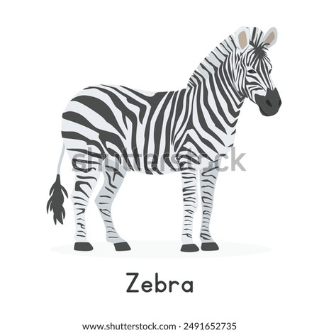 Zebra vector illustration, cartoon clipart character, animal in flat style. Wild animals, wild creatures, wildlife concept. Striped horse zebra vector design isolated on white background