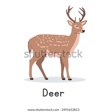 Axis deer vector illustration, cartoon clipart character, animal in flat style. Wild animals, wild creatures, wildlife concept. Chital or spotted deer vector design isolated on white background