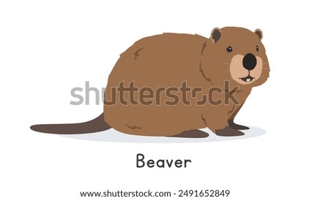 Beaver vector illustration, cartoon clipart character, animal in flat style. Wild animals, wild creatures, wildlife concept. Cute brown beaver or castor vector design isolated on white background