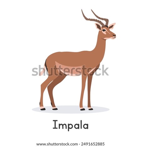 Impala vector illustration, cartoon clipart character, animal in flat style. Wild animals, wild creatures, wildlife concept. Impala or rooibok vector design isolated on white background