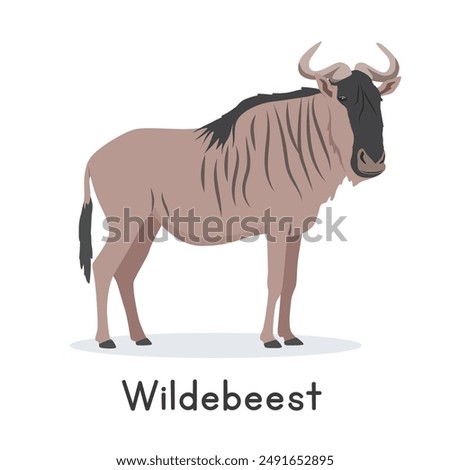 Wildebeest vector illustration, cartoon clipart character, animal in flat style. Wild animals, wild creatures, wildlife concept. Blue wildebeest vector design isolated on white background