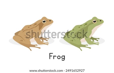 Wood frog and a green frog vector illustration, cartoon clipart character, animal in flat style. Wild animals, wild creatures, wildlife concept. Frog vector design isolated on white background