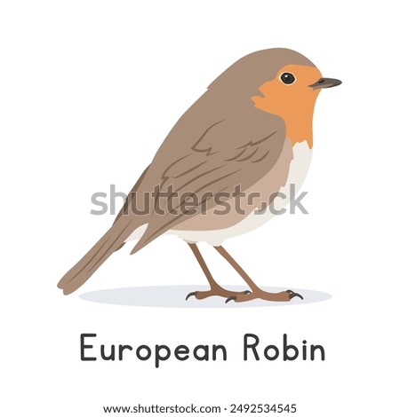 European robin vector illustration, cartoon clipart character, animal in flat style. Wild animals, avian, birds concept. Cute robin redbreast vector design isolated on white background