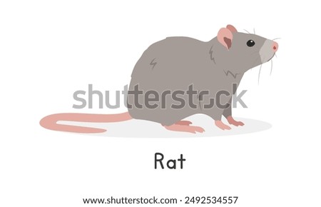 Rat vector illustration, cartoon clipart character, animal in flat style. Wild animals, wild creatures, wildlife concept. Brown rat vector design isolated on white background