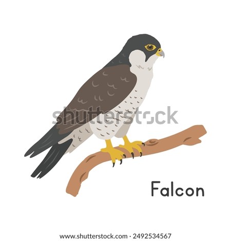 Peregrine falcon perched on tree branch vector illustration, cartoon clipart character, animal in flat style. Wild animals, avian, birds concept. Falcon vector design isolated on white background