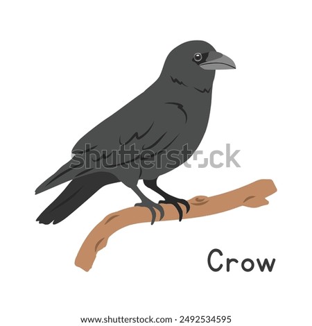 Black crow perched on tree branch vector illustration, cartoon clipart character, animal in flat style. Wild animals, avian, birds concept. Crow vector design isolated on white background