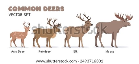 Deers vector illustration set. Deer species cartoon clipart set in flat style. Axis deer, reindeer, elk, moose flat vector design. Wild animals concept