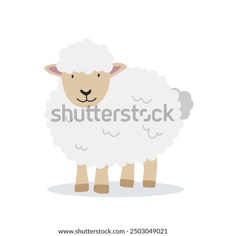 Sheep vector illustration. Cute sheep cartoon clipart, animal in flat style. Simple vector design isolated on white background. Farm animals concept, rural farming. Livestock animal