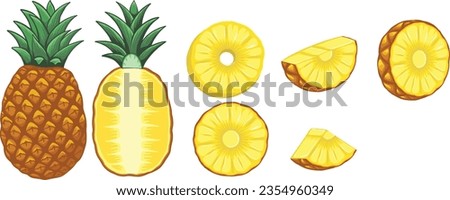 Set of pineapple fruits. Pineapple exotic tropical fruit as name Ananas comosus. Whole pineapple with leaves and pineapple slices and a half. Hand drawn Vector illustration.