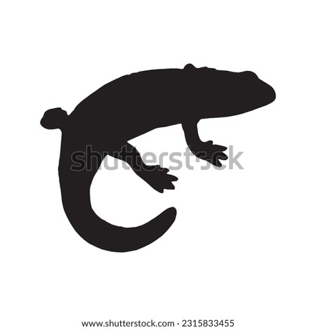salamander silhouette set collection isolated black on white background vector illustration