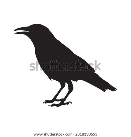 crow silhouette set collection isolated black on white background vector illustration