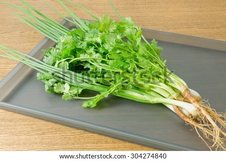 Vegetable and Herb, Bunch of Green Parsley, Chinese Parsley or Coriander and Scallion for Seasoning in Cooking on A Tray.