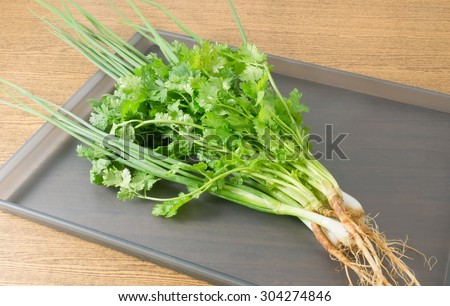Vegetable and Herb, Bunch of Fresh Green Parsley, Chinese Parsley or Coriander and Scallion for Seasoning in Cooking on A Tray.