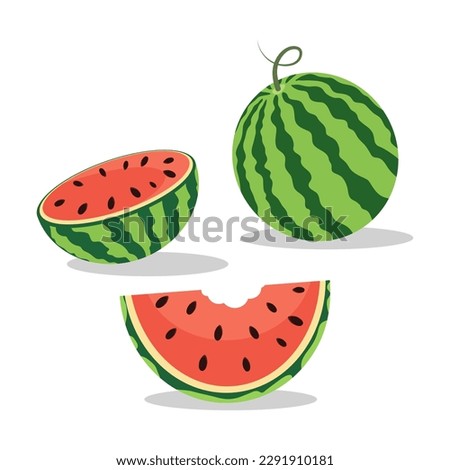 Watermelon on white background, vector illustration