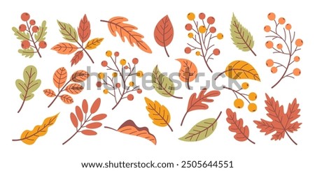 Set of autumn leaves, fallen leaves, hand drawn