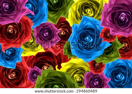 Mix collage of rose flowers rainbow background: red, violet, rose, orange, green, blue, yellow