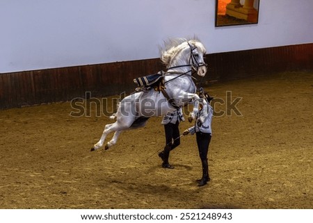 Similar – Image, Stock Photo Moment of a horse Horse